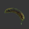 Close Up Image Of Overripe Banana With Brown Spots On Gray Background
