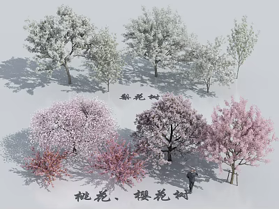 Arbor Collection Featuring Blossoming Peach Cherry Trees In Pink White Red 3d model