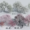Arbor Collection Featuring Blossoming Peach Cherry Trees In Pink White Red 3d model