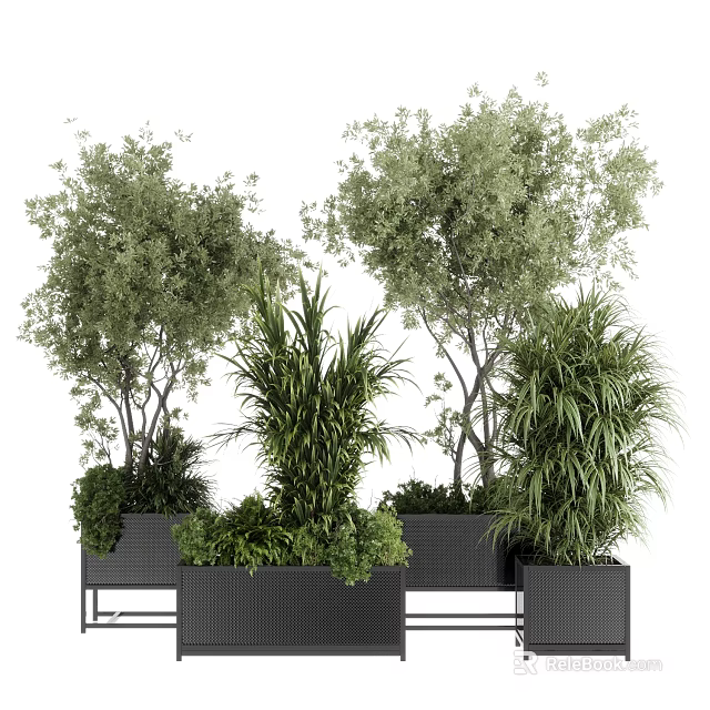 Lush Green Bonsai Potted Plants With Various Trees Shrubs And Black Planters 3d model 
