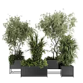 Lush Green Bonsai Potted Plants With Various Trees Shrubs And Black Planters