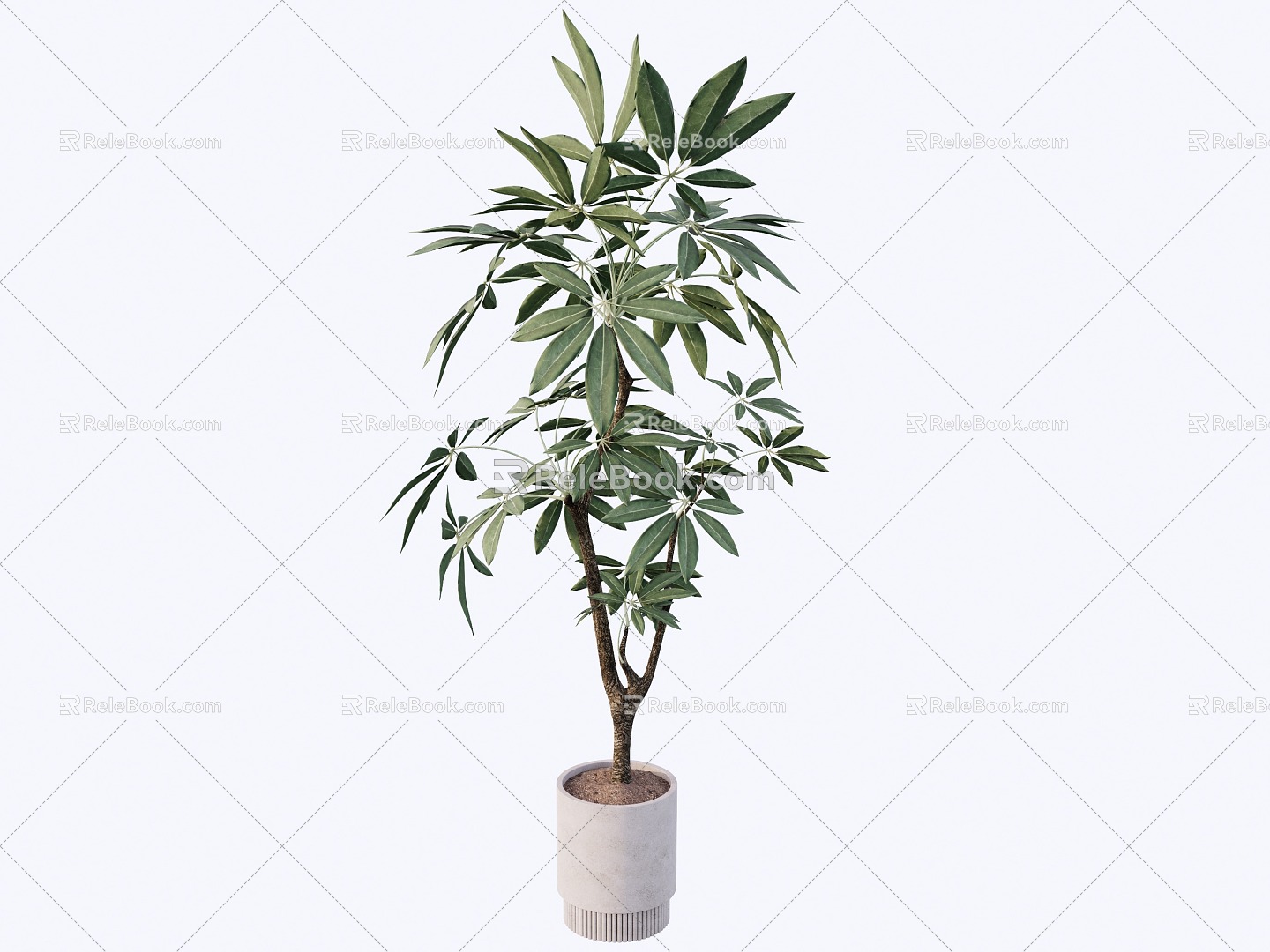 indoor potted plant 3d model