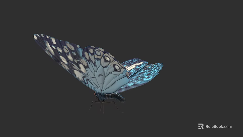 Blue and white butterfly with detailed patterned wings in flight on dark background 3d model 