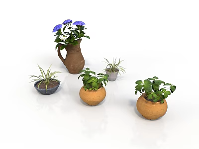 Various Green Plants in Terracotta Pots with Blue Purple and White Flowers 3d model