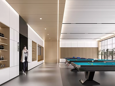 Modern Entertainment Room Interior Design With Pool Table And Wooden Cabinets 3d model
