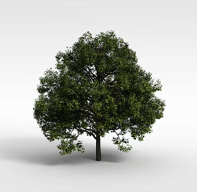 Tech Exhibition Hall Showcasing Interactive Digital Exhibits And Modern Design Features 3d model