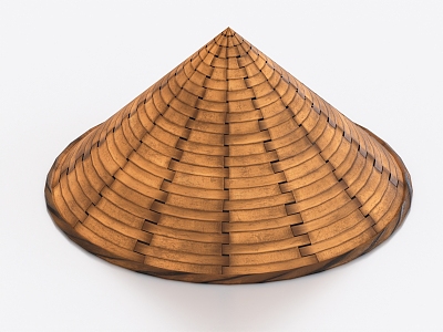 Bamboo hat fisherman hat 3d model