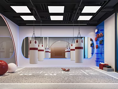Modern Boxing Training Room With Hanging Punching Bags Mirrors And Fitness Equipment 3d model