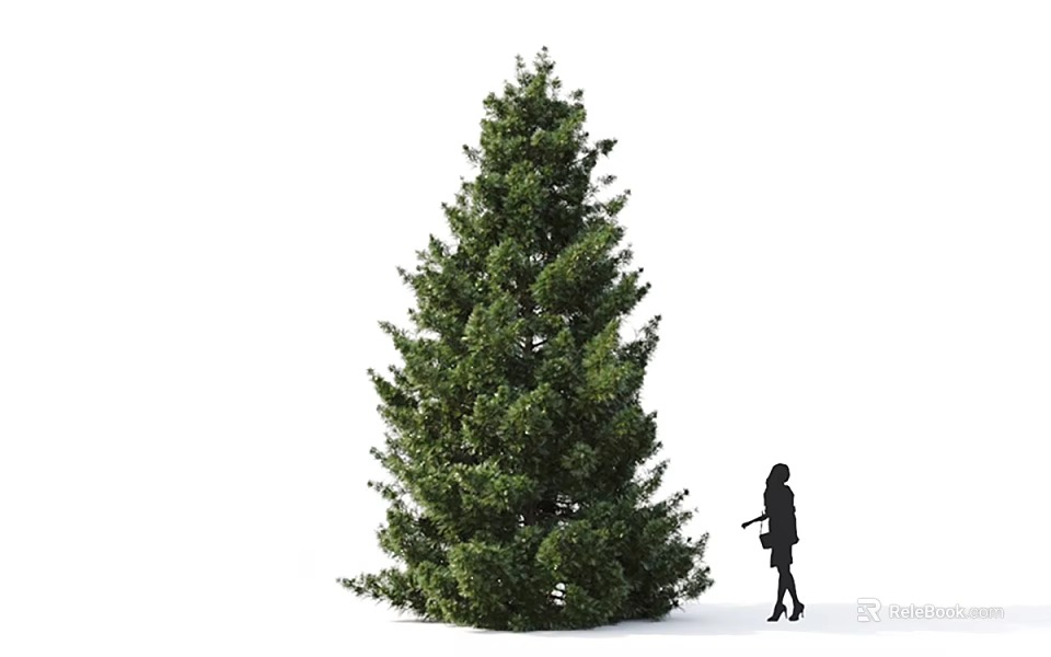 Tall Arbor With Lush Green Foliage And Person Standing Beside For Size Reference 3d model