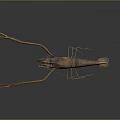 Brown Aquatic Animal Shrimp With Long Antennae And Extended Claws