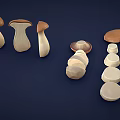 Fresh Vegetable Mushrooms 3D Rendered in Various Shapes and Sizes Against Dark Blue Background