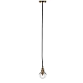 Vintage Brass Chandelier With Intricate Leaf Accents And Clear Glass Bulb