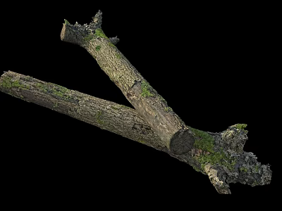 Wood Rotting Wood Dead Wood Dead Trunk Decayed Wood 3d model