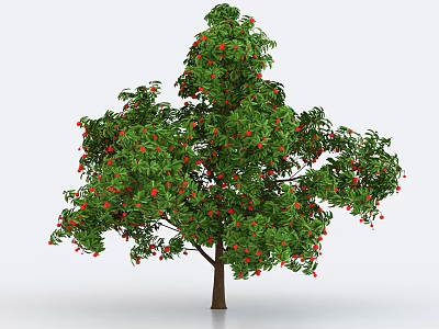 Lush Green Leaves Arbor With Red Fruits And Brown Trunk In Natural Scene 3d model