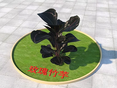 Rose Calathea Plant With Dark Purple Leaves In Circular Green Grassy Area On Stone Pavement 3d model