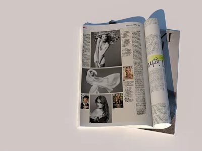 Magazine Book Ornaments 3d model Magazine Book Ornaments 3d model