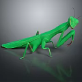 grasshopper insect cartoon locust animation locust anime locust anime game character 3d model