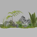 Natural Plant Combination with Ferns Grasses Rocks and Lush Green Foliage