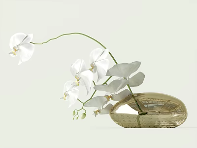 White Orchid Flowers Arranged In Elegant Decorative Transparent Oval Glass Vase 3d model
