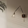 Contemporary Adjustable Wall Sconce with Black Arm Wooden Base Glass Shade and Green Plant Shadow