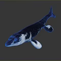 Whale 3D Model with Blue and White Coloration Fins and Tail on Dark Background