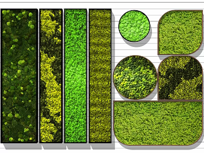 Various Shaped Living Plant Wall Designs With Green Foliage And Textures 3d model