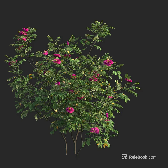 Lush Green Foliage With Vibrant Pink Flowers On Ornamental Shrub Plant 3d model 