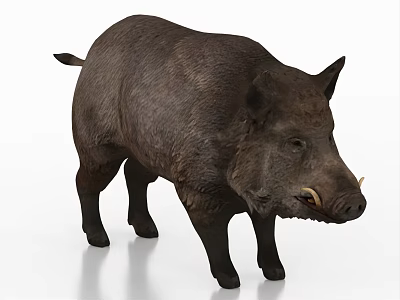 wild boar animal 3d model