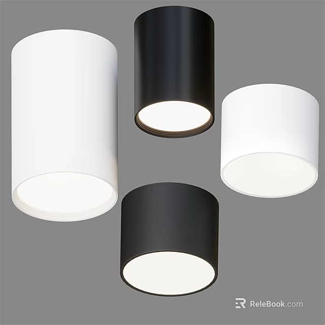 Modern Minimalist White and Black Downlights Spotlights Indoor LED Lighting Fixtures 3d model 