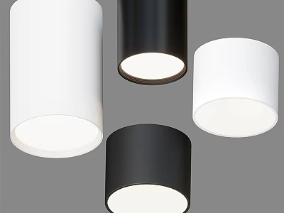 Modern Minimalist White and Black Downlights Spotlights Indoor LED Lighting Fixtures 3d model