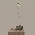 White Flower In Ceramic Vase With Pinecones On Tabletop Against Gray Wall 3d model