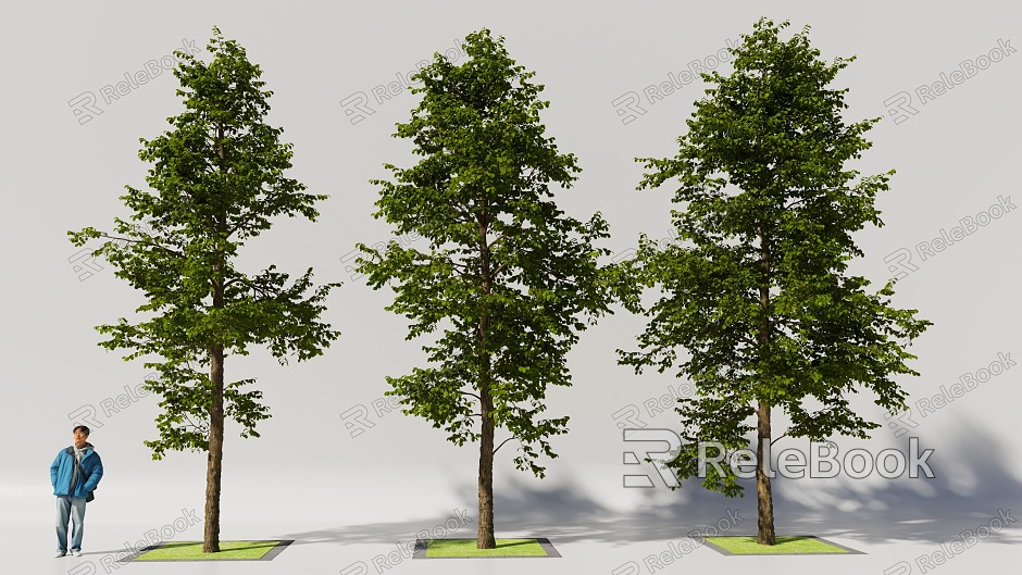 broadleaf tree armored wood model