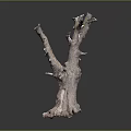 Natural Wood And Stone Decorative Sculpture With Twisted Roots And Rough Texture