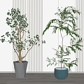 Elegant Indoor Potted Plants With Striped Wall And Wooden Floor Decor
