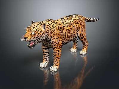 Leopard with Spotted Fur Standing Open Mouth on Shiny Reflective Surface 3d model