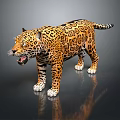 Leopard with Spotted Fur Standing Open Mouth on Shiny Reflective Surface 3d model