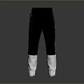 Stylish Black And White Color Block Track Pants 3d model
