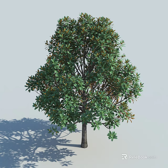Lush Green Tree With Brown Trunk And Natural Shape Casting Shade On Light Background 3d model 