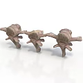 Three Detailed Bronze Anatomical Vertebrae Models Representing Human Organ Structure