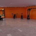 Baijie Yuecheng Gym Lighting Fitness Equipment 3d model