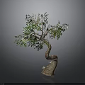 Creative Money Tree Sculpture With Green Leaves Money Bills And House Models