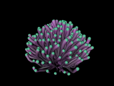 Modern Coral Undersea Coral 3d model Modern Coral Undersea Coral 3d model