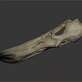 Bird Animal Skull With Long Beak Light Color On Dark Background With Reflection