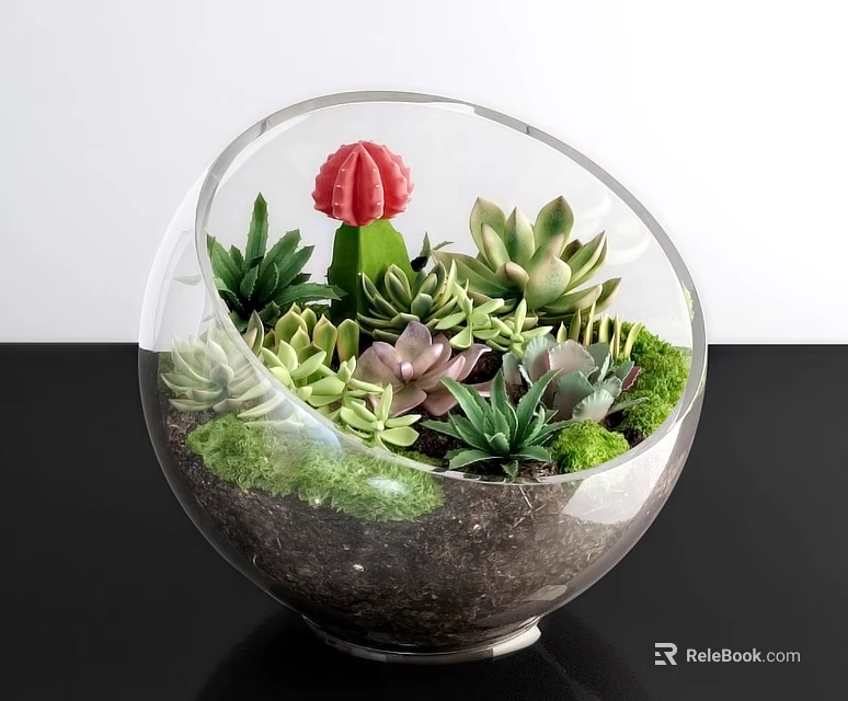 Glass Globe Bonsai Potted Plant with Various Succulents Red Cactus Green Moss on Black Table 3d model 