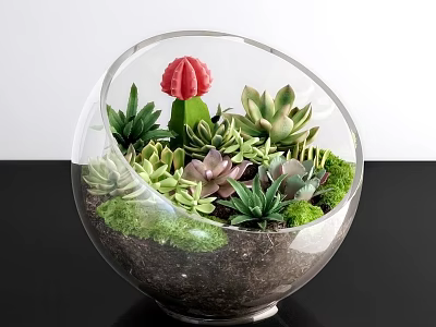 Glass Globe Bonsai Potted Plant with Various Succulents Red Cactus Green Moss on Black Table 3d model