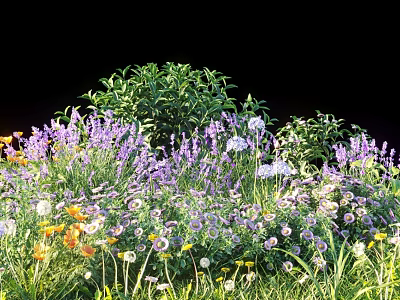 Vibrant Garden Flowers Featuring Lavender White Blooms Yellow Daisies and Green Foliage 3d model