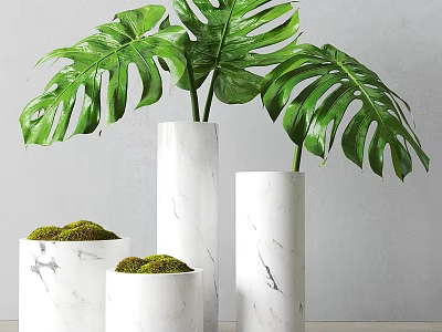 Elegant Garden Decor With Cylindrical Marble Vases Monstera Leaves And Moss 3d model