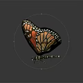 Vibrant Butterfly With Orange And Black Wings Featuring Detailed White Spots And Spread Wings