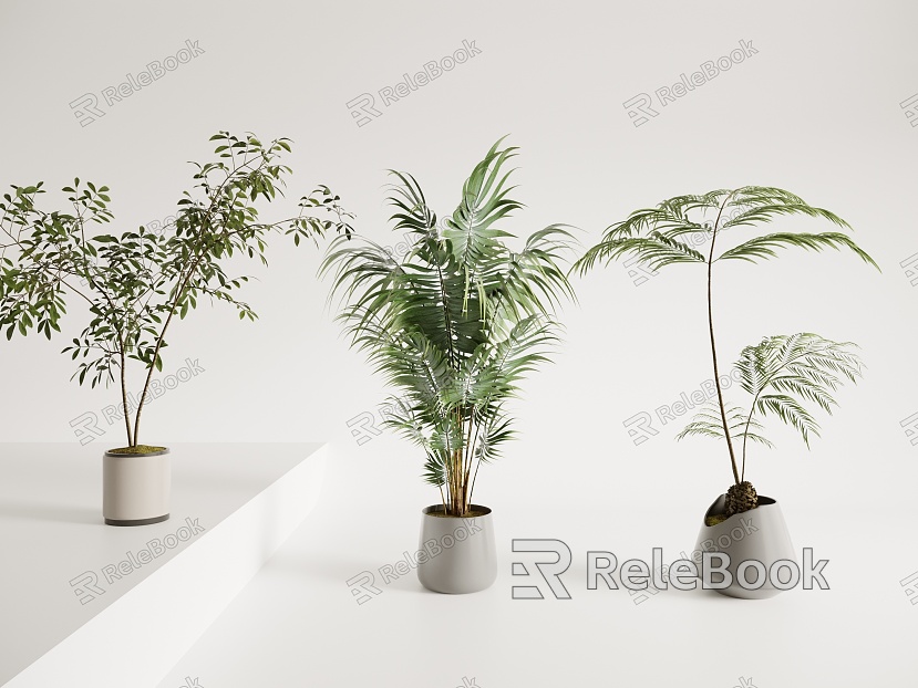 potted plant model