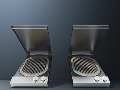 Double Stainless Steel Electric Grills With Flip Lids And Knob Controls For Kitchen 3d model